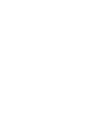 Logo Hauptsachemitstil